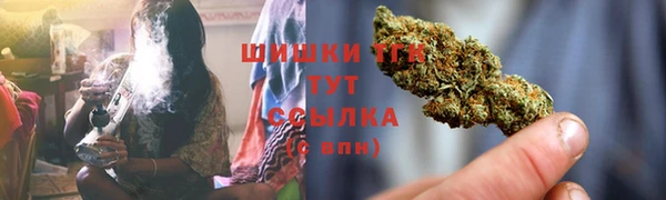 крисы Осташков